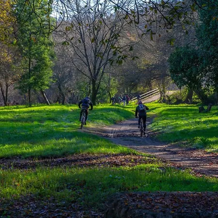 Gospodarstwo wiejskie Casa Oliveiras Beiral do Lima